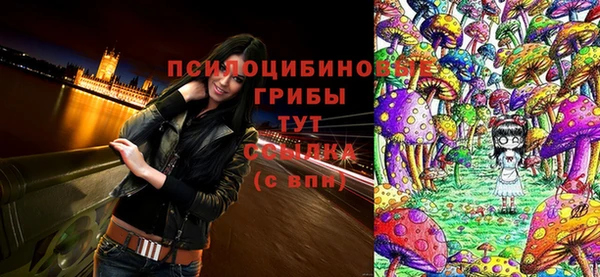 шишки Богородицк