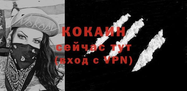 шишки Богородицк