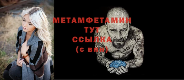 шишки Богородицк