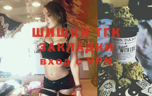 шишки Богородицк