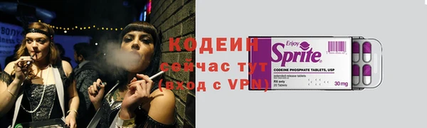 шишки Богородицк