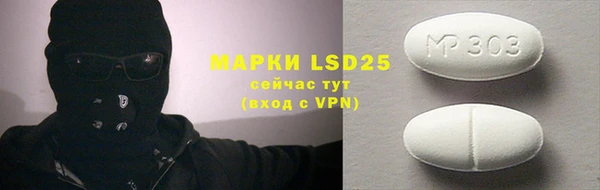 шишки Богородицк