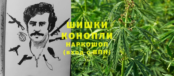 героин Богданович