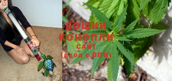 гидропоника Бородино