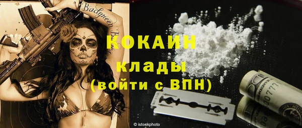 шишки Богородицк
