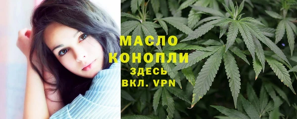 шишки Богородицк