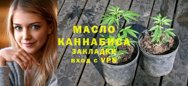 шишки Богородицк